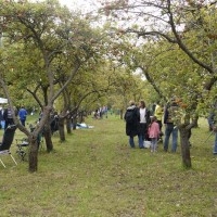 Apple Day 2015