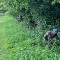 Ditch Maintenance