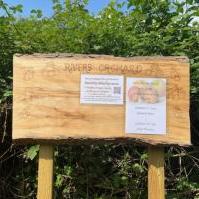 Small noticeboard